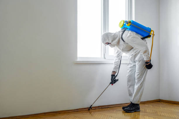 Best Pest Removal Services  in Toppenish, WA