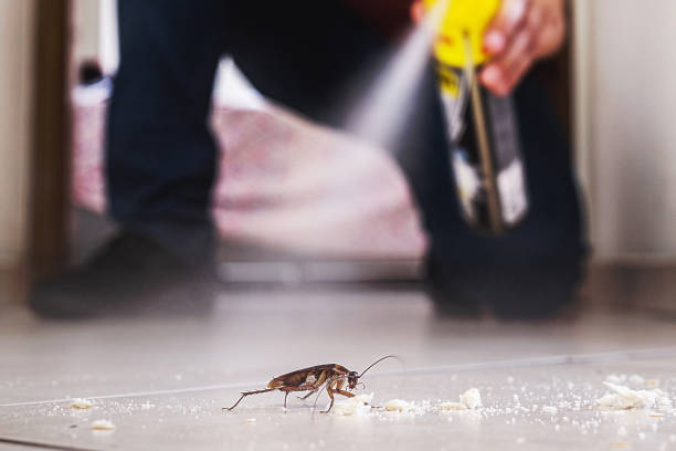 Best Affordable Pest Control Services  in Toppenish, WA