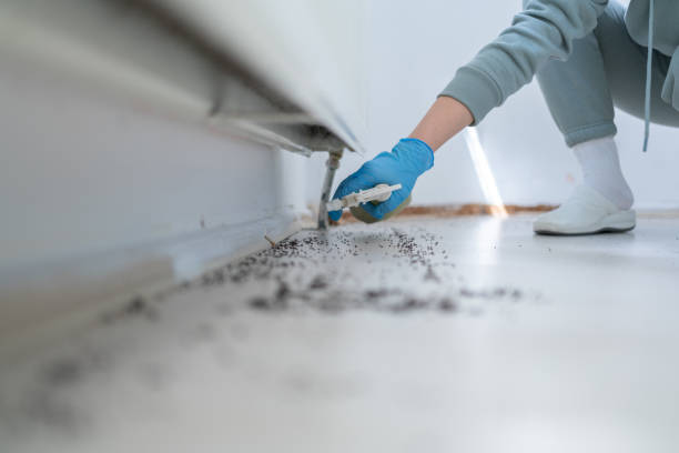 Best Commercial Pest Control Services  in Toppenish, WA